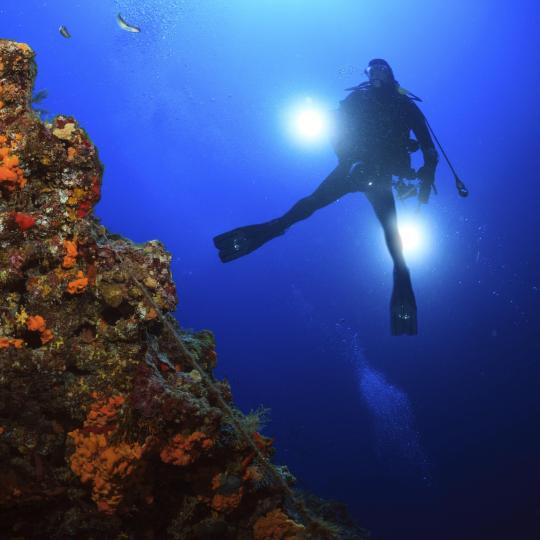 Scuba diving in marine-rich Costa Rei