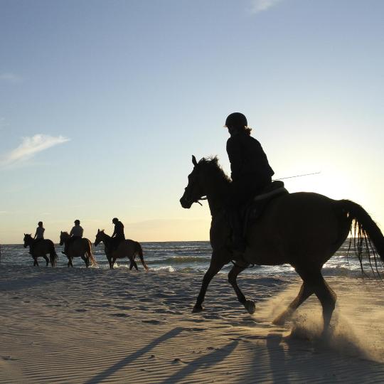 Horse riding in Cape Ferrato