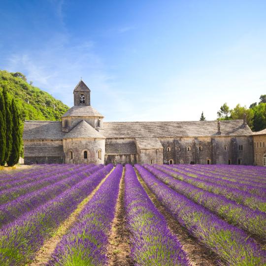 Sénanque Abbey