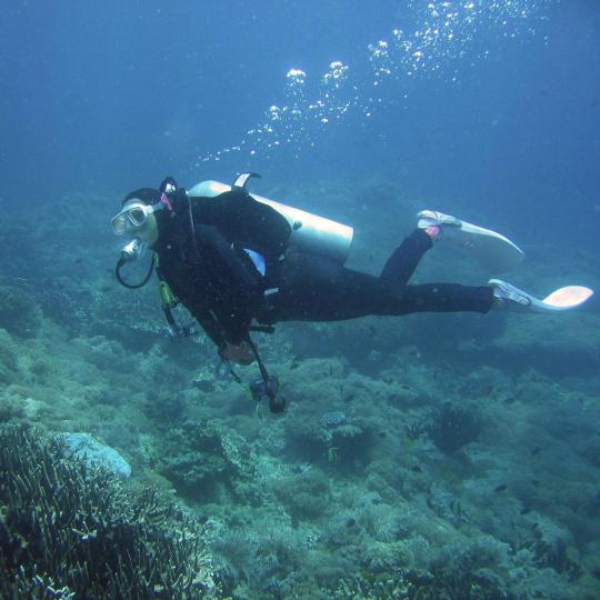 Scuba diving in Jandía