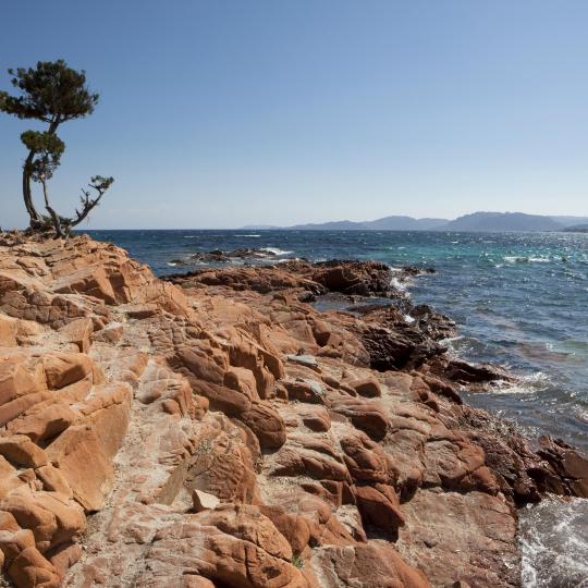 Playa de Palombaggia