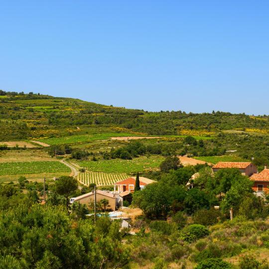 Región vinícola de Minervois