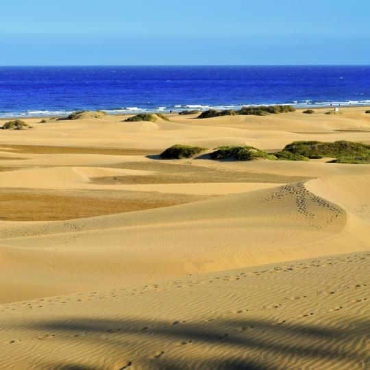 Le dune Maspalomas