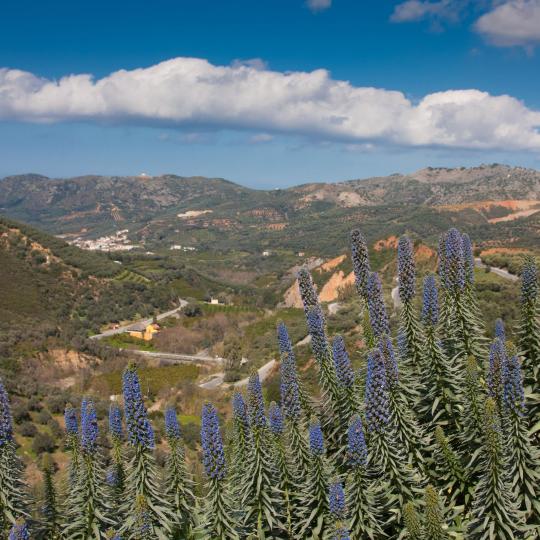 Parque Botánico y Jardines de Creta