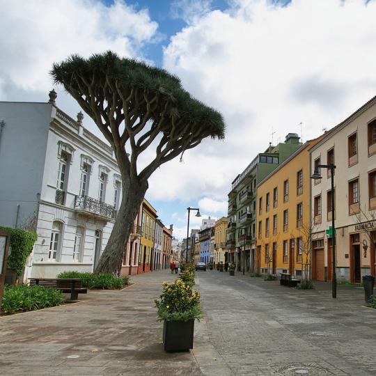 بلدة سان كريستوبال دي لا لاغونا القديمة