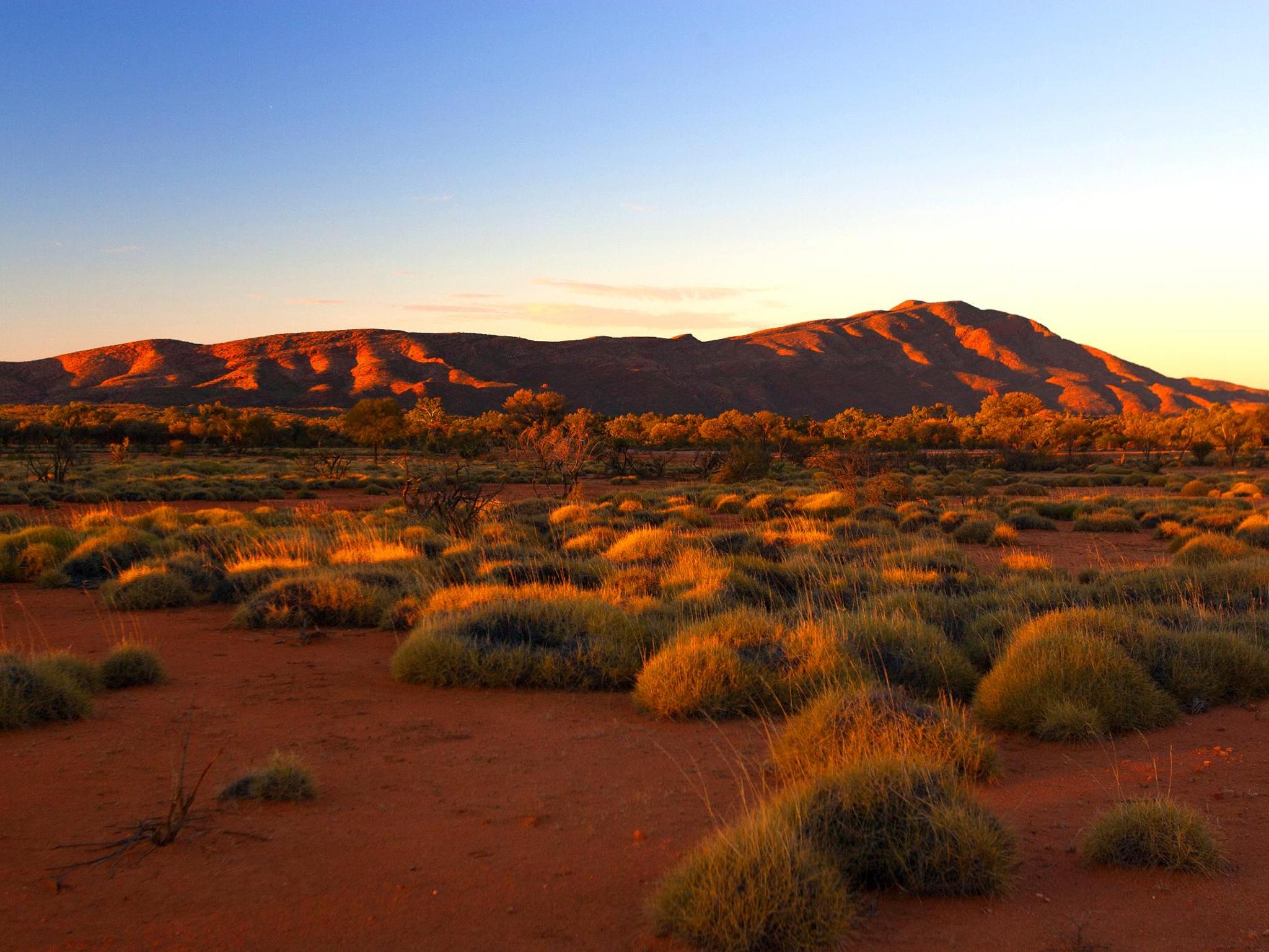 オーストラリアでの壮観なロードトリップ5選 Booking Com