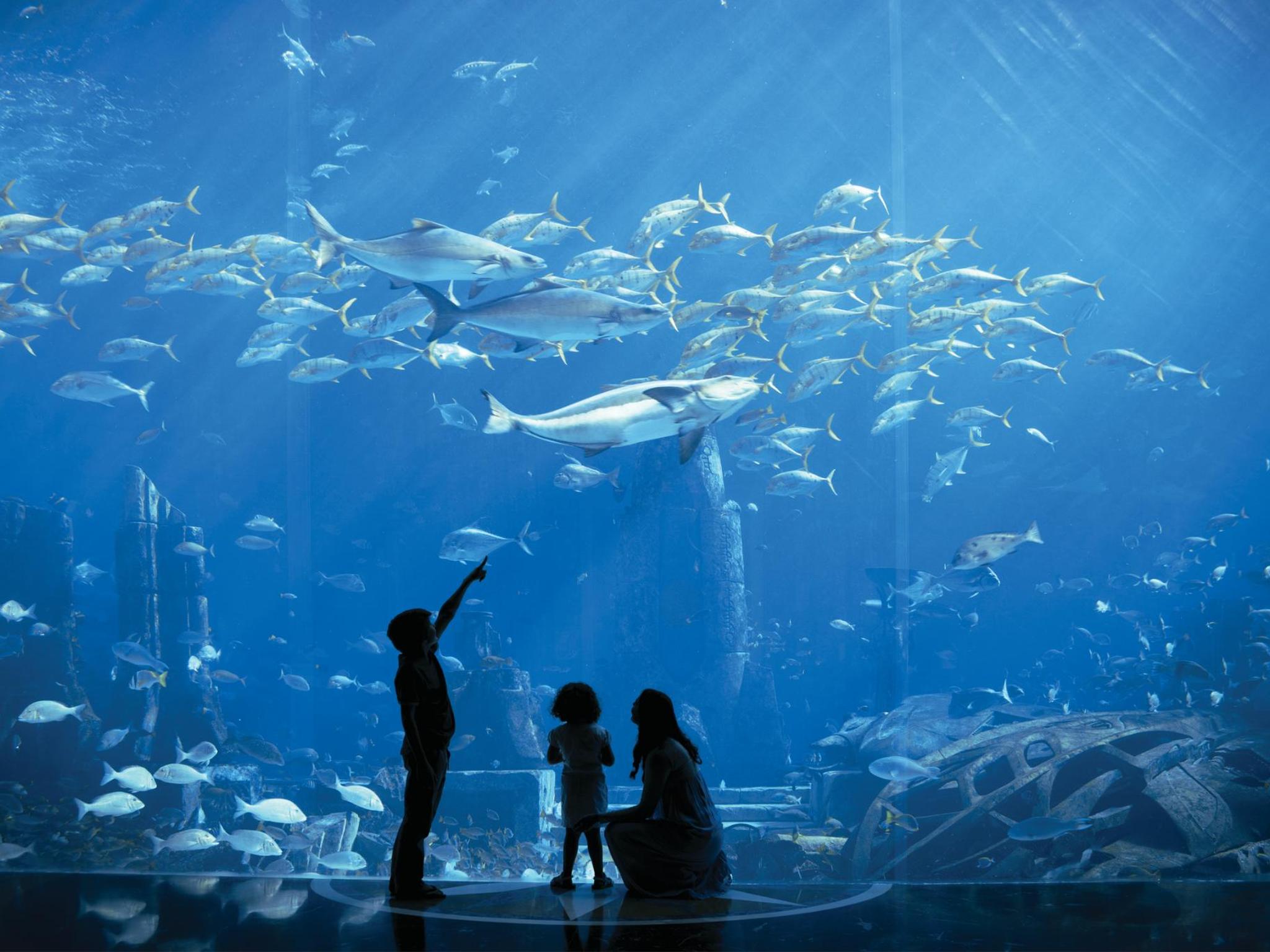 5 Unforgettable Underwater Hotels Booking Com
