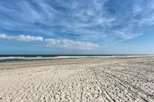 Driessen Beach Park Dogs