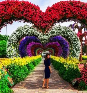 book tours dubai book tours dubai