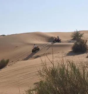 book tours dubai book tours dubai