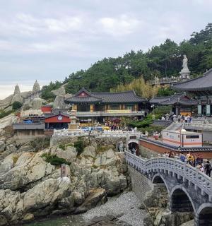 釜山 韓国 の旅 観光 旅行 Booking Com