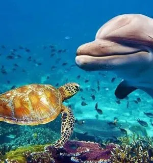 book tours dubai book tours dubai