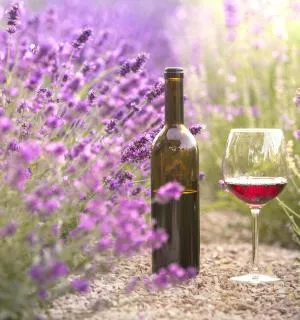 aix en provence tourism english aix en provence tourism english