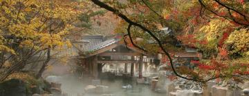 All properties with onsen
