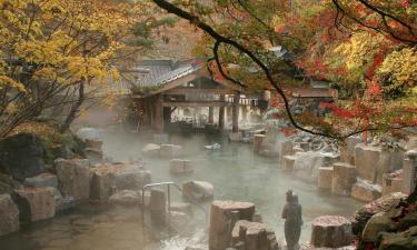 alojamientos con onsen