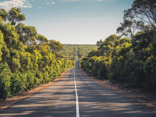5 viaggi on the road per famiglie in Australia