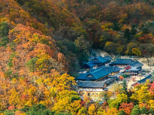 6 places to enjoy autumn leaves in South Korea