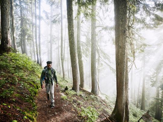 The UK’s 5 finest forest tours and experiences | Booking.com