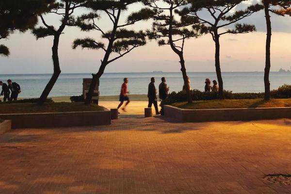 What are the best hotels in Haeundae Beach?