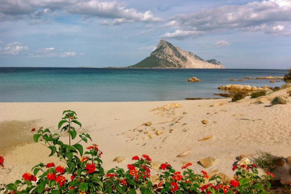 Top 10 best hotels in Porto Taverna Beach in 2023