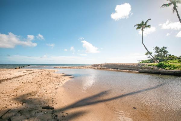 What are the best hotels in Waialae Beach?