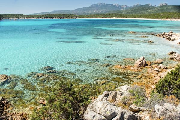 Spiaggia del Principe in de zomer, een van de mooiste stranden ter wereld