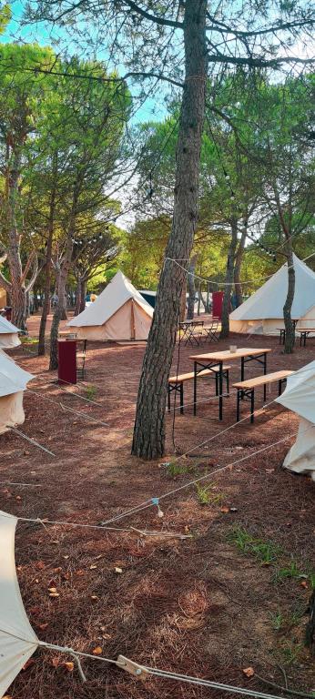 Glamping OH Costa Brava, Pals – Bijgewerkte prijzen 2022