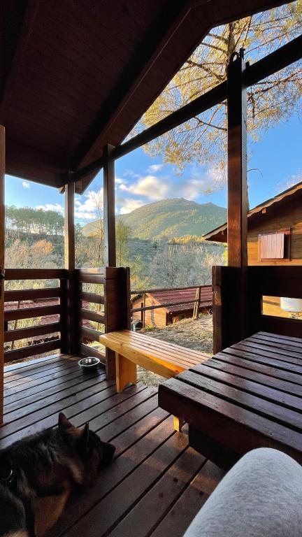 Camping La Eliza, Lanzahita – Updated 2022 Prices