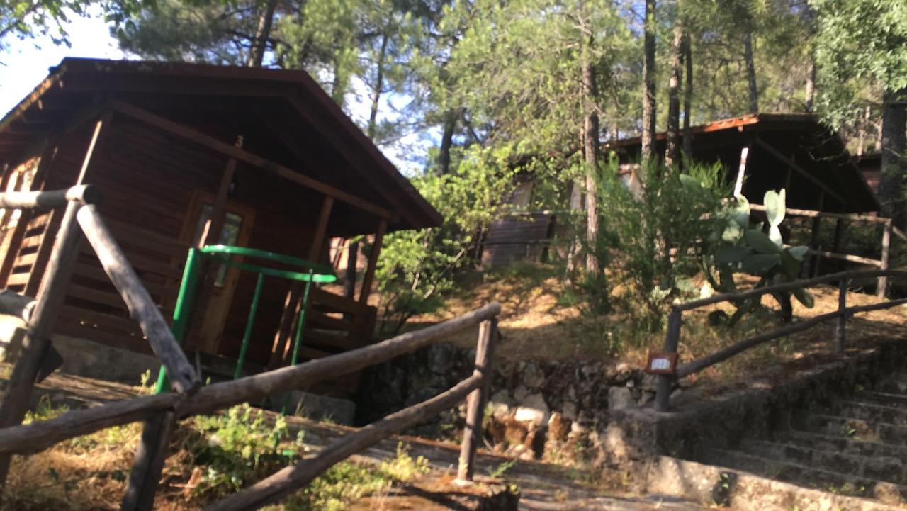 Camping La Eliza, Lanzahita – Updated 2022 Prices
