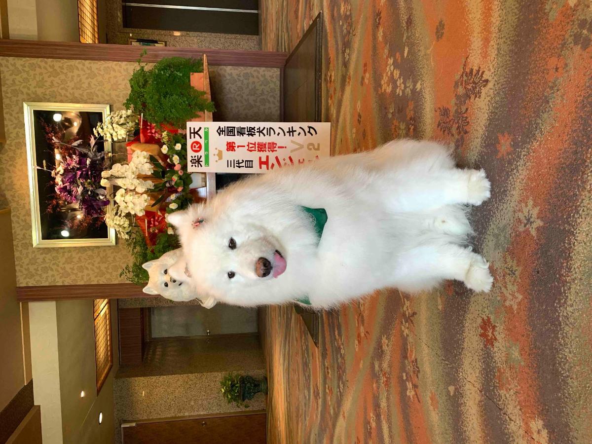 九重九重悠悠亭酒店 21 年最新房價