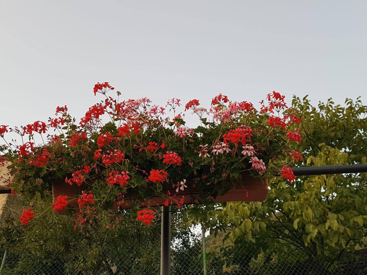Casa Azon, Oliván – Updated 2022 Prices