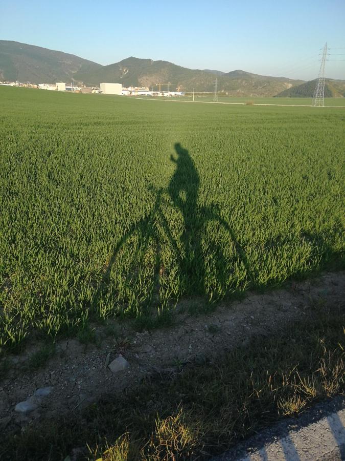 Casa Piquero, Sieste – Preus actualitzats 2022