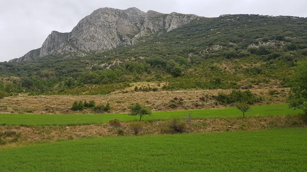 Apartment Casa Marquet, Campo, Spain - Booking.com