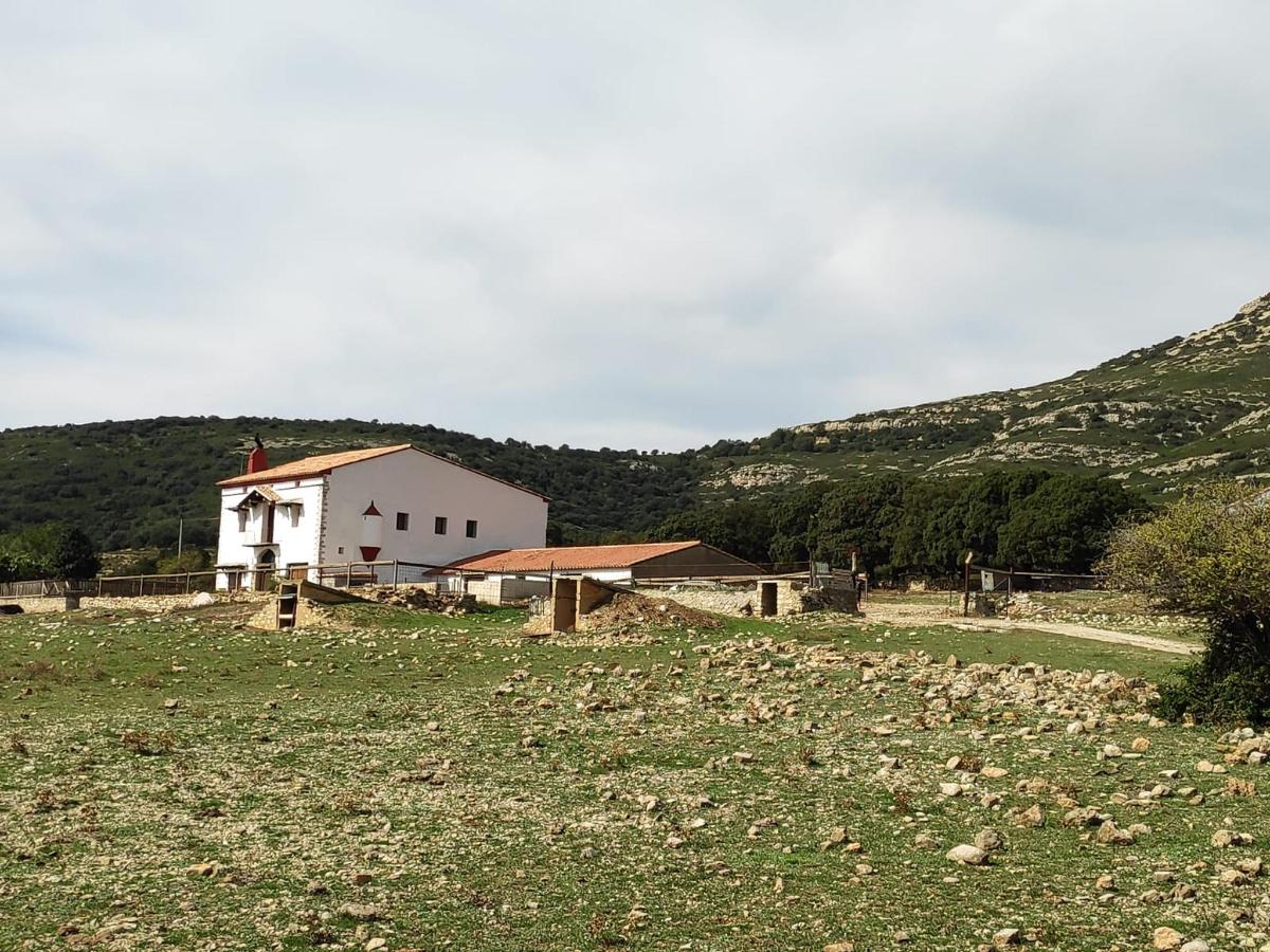 Casa rural Mas Vell (España Catí) - Booking.com