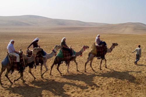 Anne and Ray, guests and very ornary camels