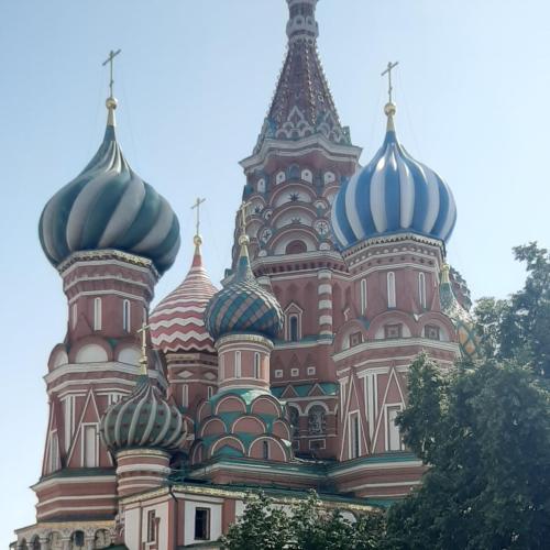 Елена Владимировна