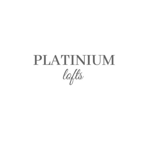 PLATINIUM lofts