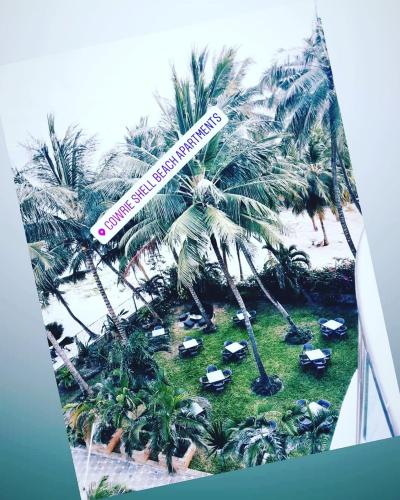 cowrie shell Beach Apartments ⛱