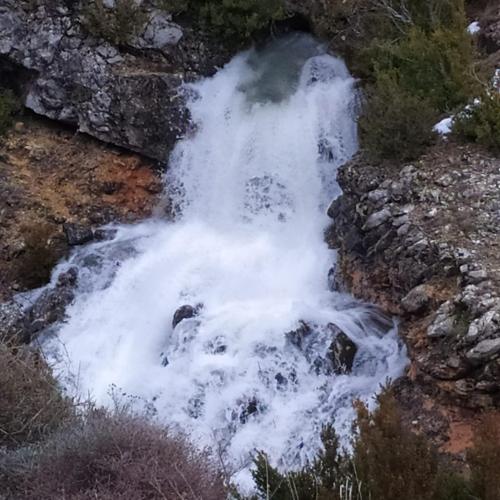 EL BOYAL DEL ALTO TAJO La carrera, Poveda de la Sierra ...