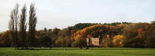 Bickleigh Castle