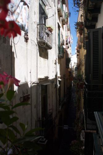 Bed&Books il campanile