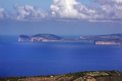 Alguer46