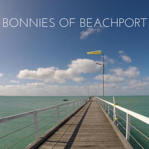 Beachport Jetty