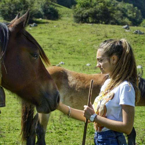 Carroceu Rural, Cangas de Onís – Updated 2021 Prices