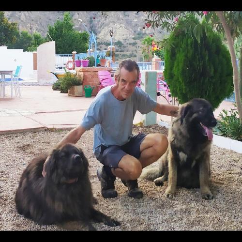 Recovery Mountain Homestay, Alicante – Prezzi aggiornati per ...