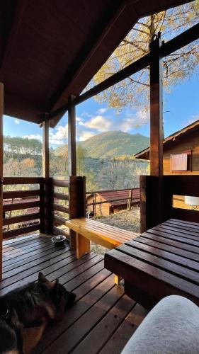 Camping La Eliza, Lanzahita – Updated 2022 Prices
