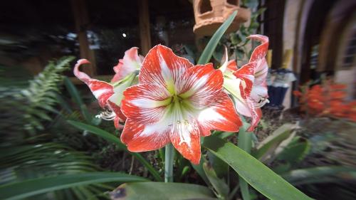 Pousada da Oma Cunha SP