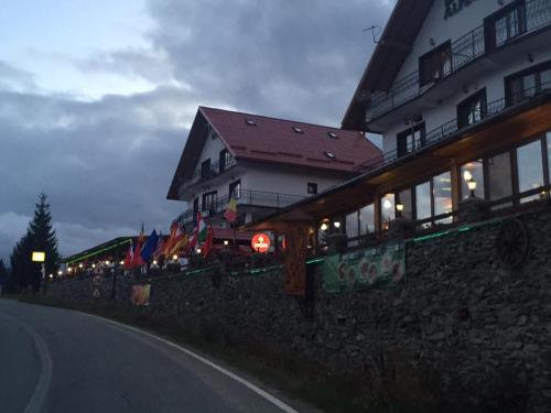 Pensiunea Alpina Casi & Spa
