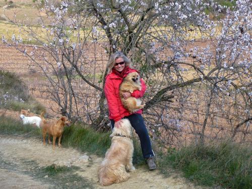 Ellen and dogs