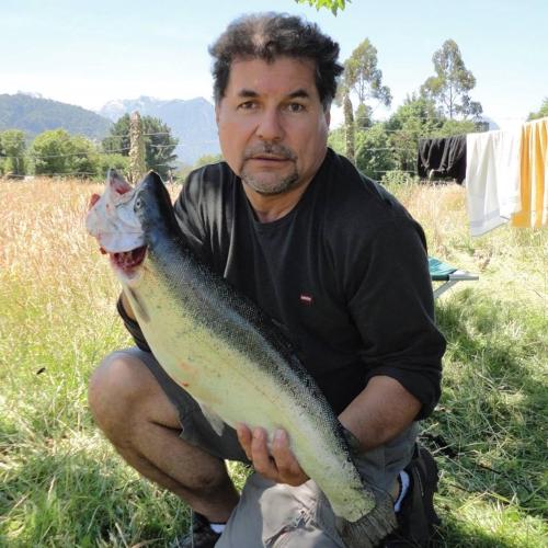 Fernando Miranda / CEO